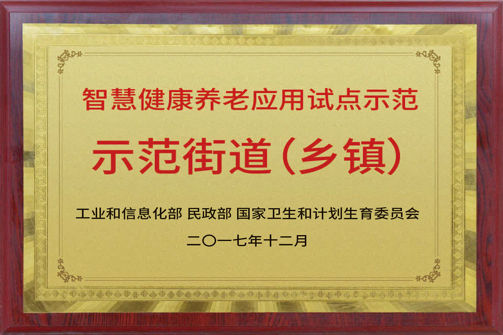 全国智慧健全养老示范街路