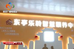 中宣部采访团到访武汉东亭社区PG电子游戏智慧保养中心